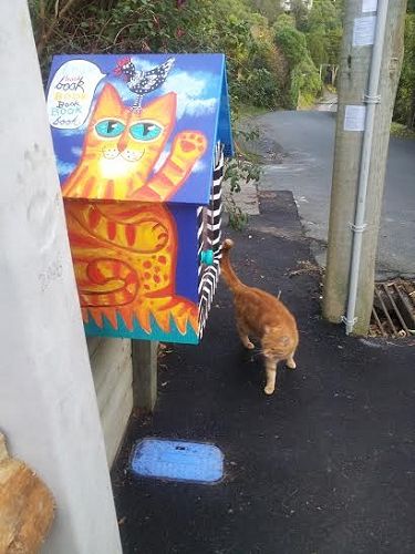 7 Bayne Terrace, Macandrew Bay - it's not hard to 