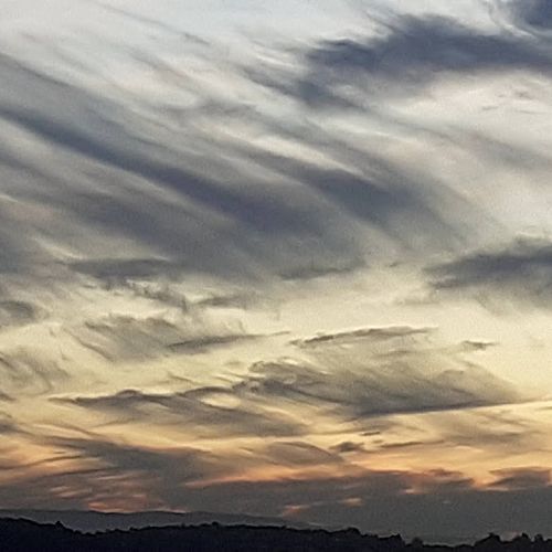 Inter-House Photography Competition