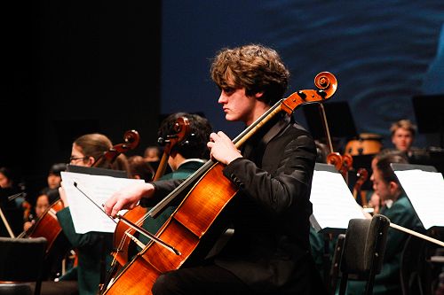 Cello Solo - Robert Gaudin