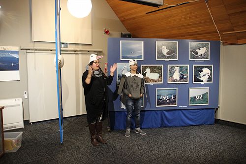 Albatross Colony Trip