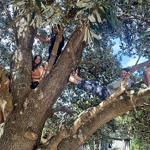 Stars Day - 9GATO in action