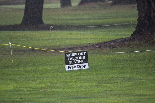 Old Boys Golf Day 2020