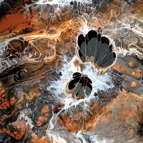 "Joshua Tree Roots Mid-Elevation" by Juniper Harrower (2029) © Used with permission www.juniperharrower.com