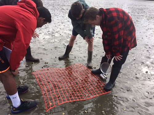 Year 12 Biology Trip To Blueskin Bay