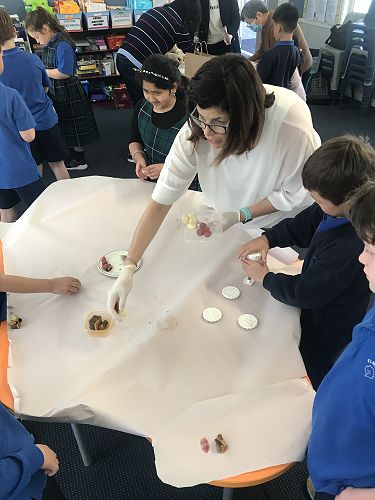 Tūī Tāhi prep Mid Autumn Festival
