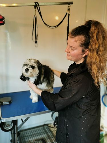 Georgie Sullivan - Hair Off the Dog