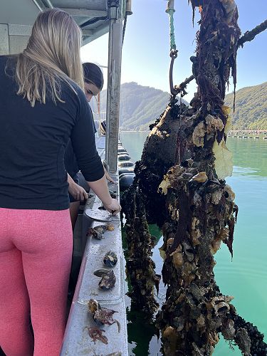 STA301 - Statistics in the community