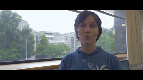 Video: High Vis Low Vis