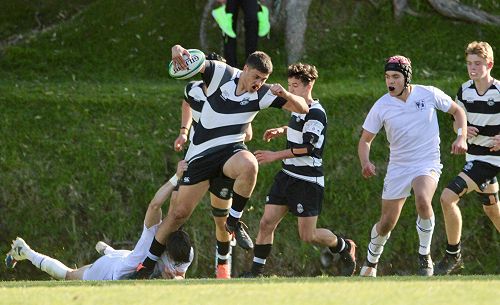 1st XV vs New Plymouth Boys' High School