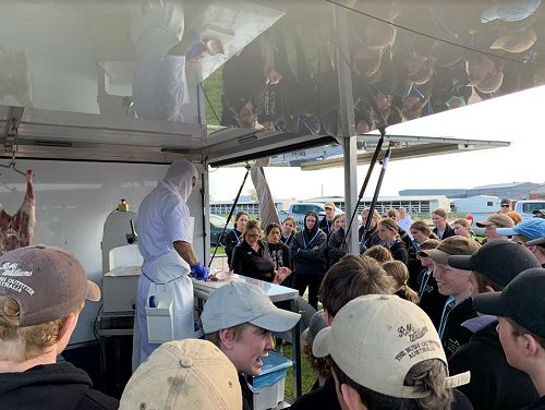 Future Sheep Competition