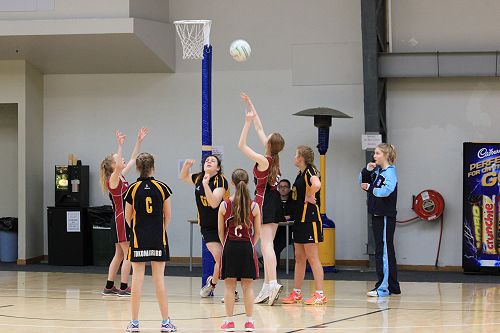 Co-ed Sports Tournament