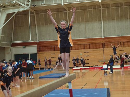 Gymnastics Festival 2016