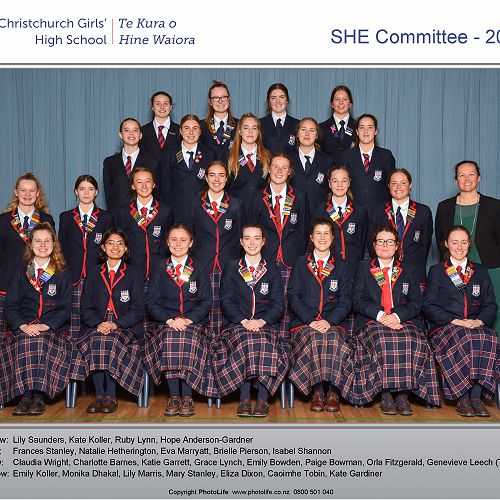 SHE Committee 2020