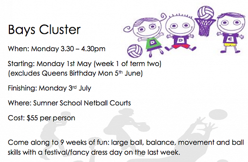 Bays Cluster Year 1 & 2 Netball - Term 2