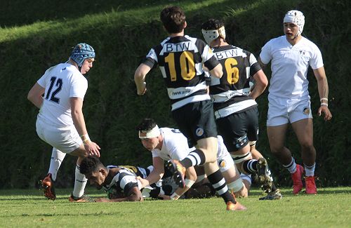 1st XV vs New Plymouth Boys' High School