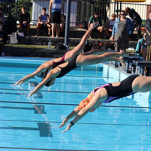 Swimming sport heats