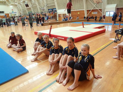 Gymnastics Festival 2016