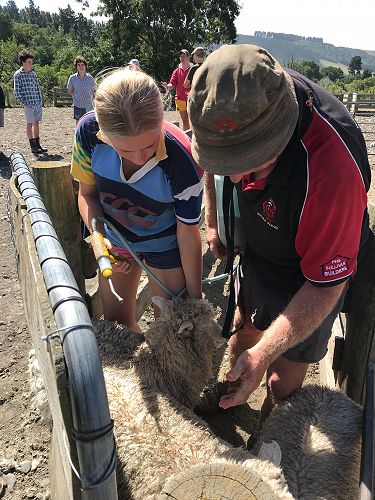 Liz Thompson drenching with Gary Williams