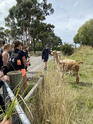 Environmental Sustainability 2023