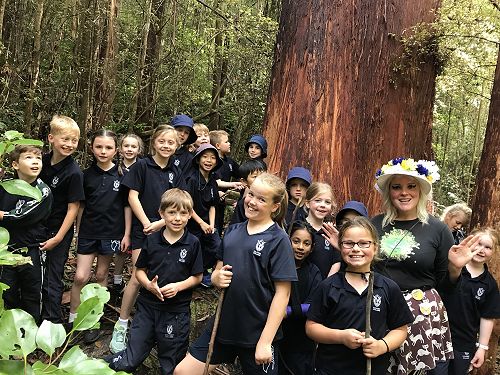 At the base of the tallest tree in New Zealand