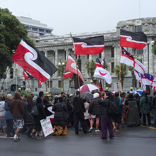 Hikoi arrives at Parliament, 22nd March 2011