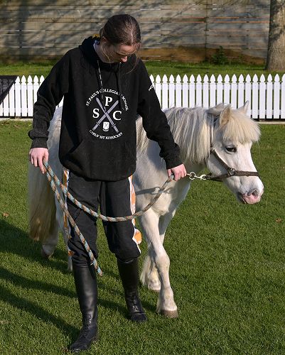 Pony rides - Harington House