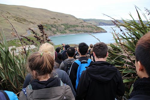 Albatross Colony Trip