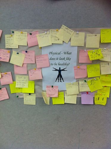 Harakeke - Physical Well-Being