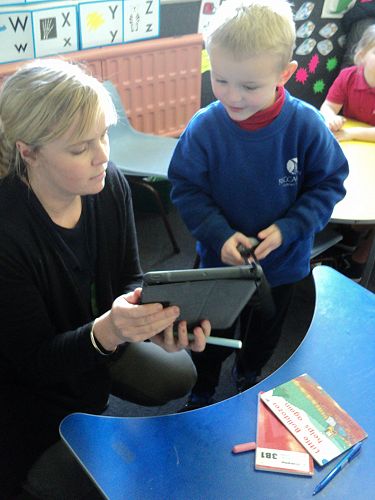 Room 12, Term 3 2017