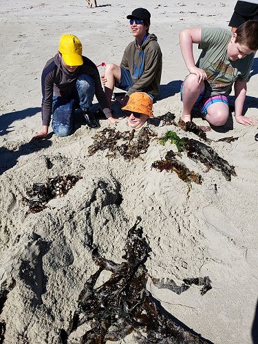 Learning Support Class