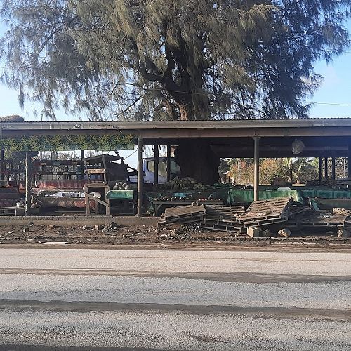 A very quiet market,
days after the eruption of Hunga-Tonga-Hunga Ha’apai last month.