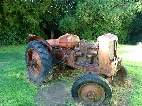 Year 13 Biology Field Trip to Wainui 2019