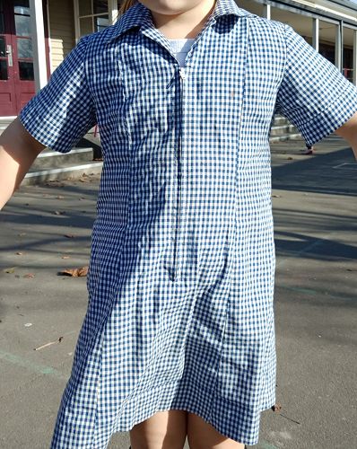 Blue and white gingham dress