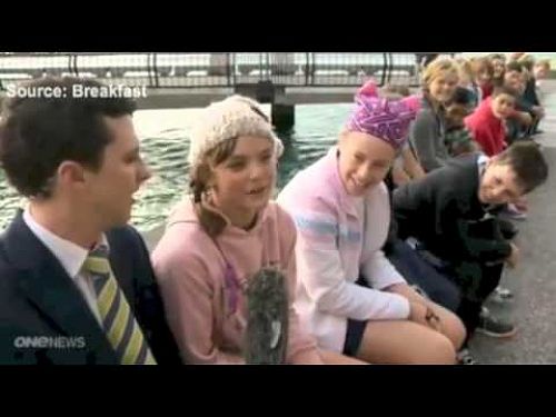 Video: VLN Primary School Story