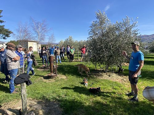 Pruning Workshop after AGM - Steve Morris (in blue)