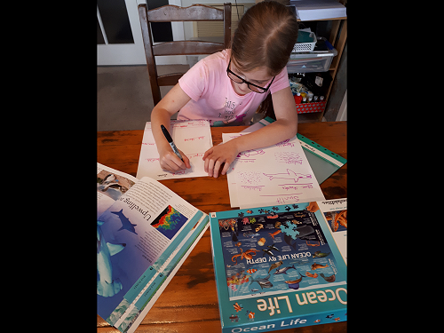 Samantha Mundy (Year 5) working on her passion project.