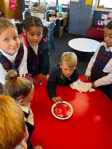 completed experiments on why we need to wash our hands