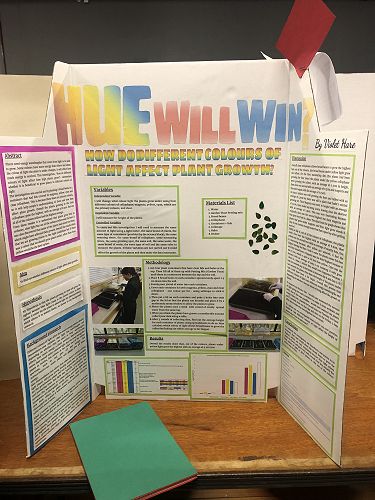 Violet Hare's project on light colour and plant growth