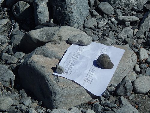 Year 12 Geography Trip 2019