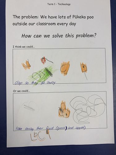 Harakeke Technology Problem