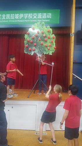 Team work in action at Epro 8 for the year 7/8 team