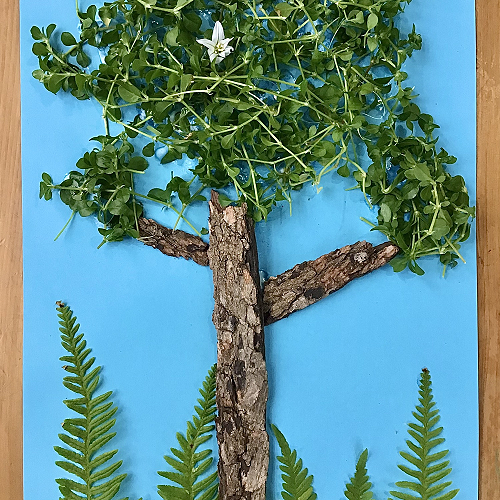 Hazel Rm 24 - made from nature!