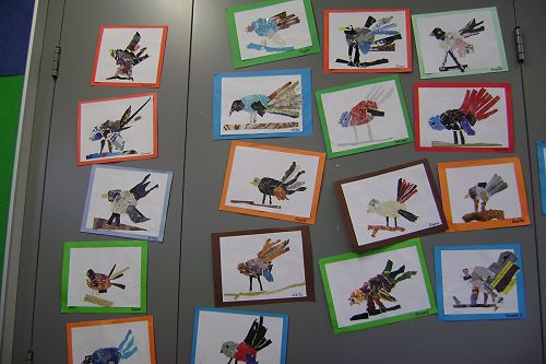 Collage pictures of fantails.