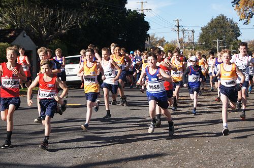 Y7&8 students speed from the start line in their cross country