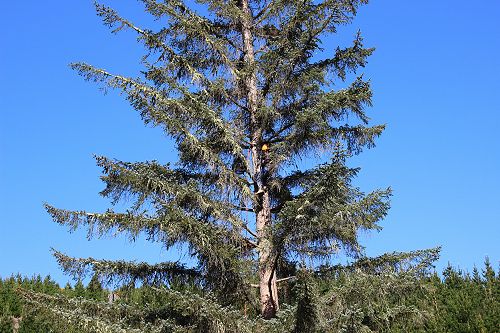 Berwick Outdoor Education