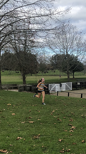 Cross Country Championships