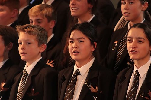 Brown leaves for California Dreaming