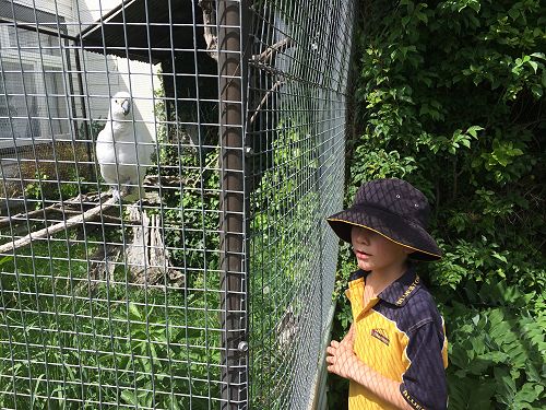 James chatting with Polly.