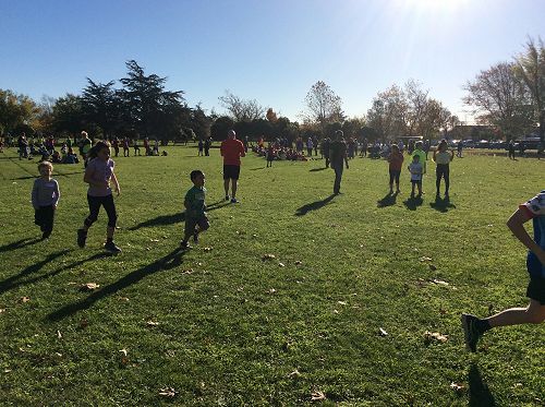 Cross Country Day - Awa