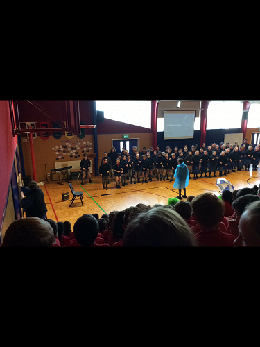 House choirs - Konini